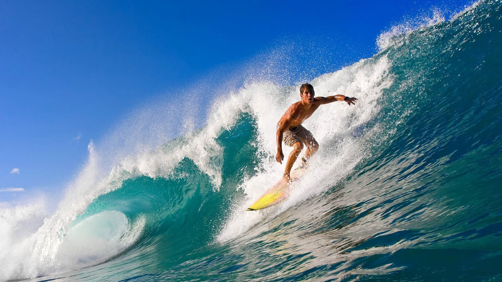 青年泳将表现抢眼 后浪涌现，青年游泳比赛